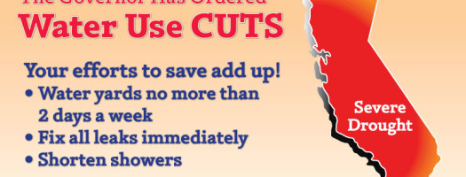 Water Cuts in California